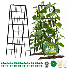 HIHADUUM front view of two 50-inch trellises showing sturdy frame and grid, durable support