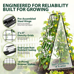 HIHADUUM dense steel grid close-up supporting stems and heavy fruit