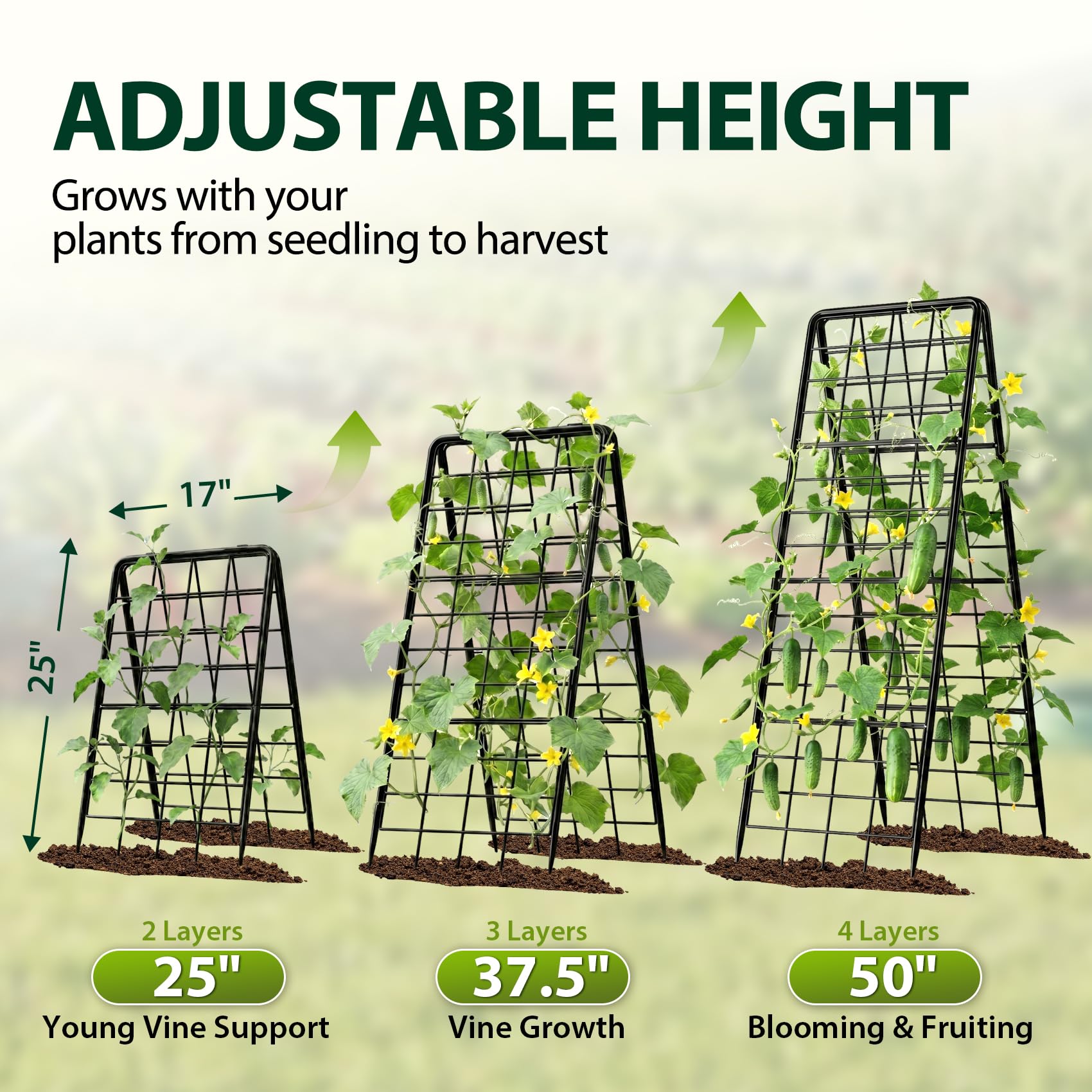 HIHADUUM trellis installed in raised bed supporting heavy tomato vines