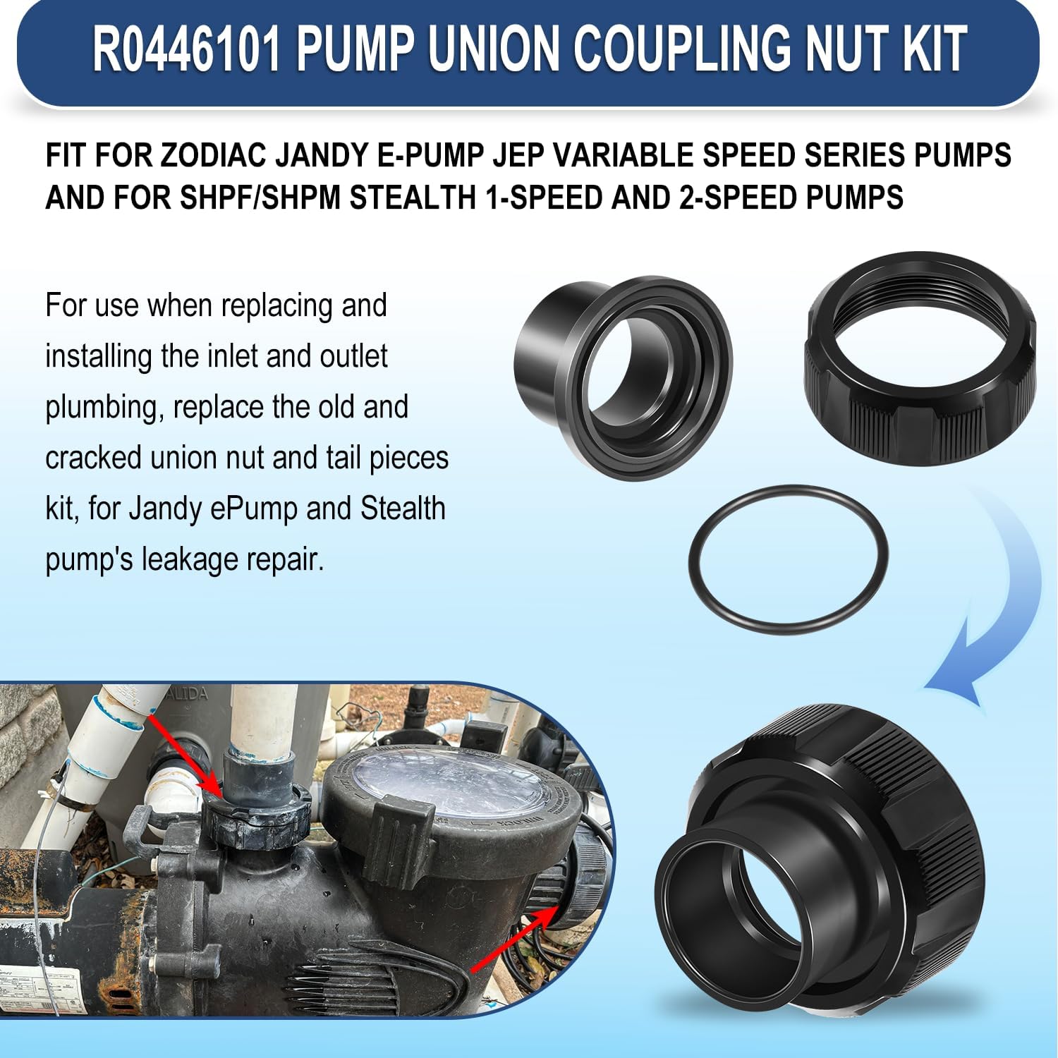 Hihitomorrow O-ring macro showing seal quality and leak-prevention benefit