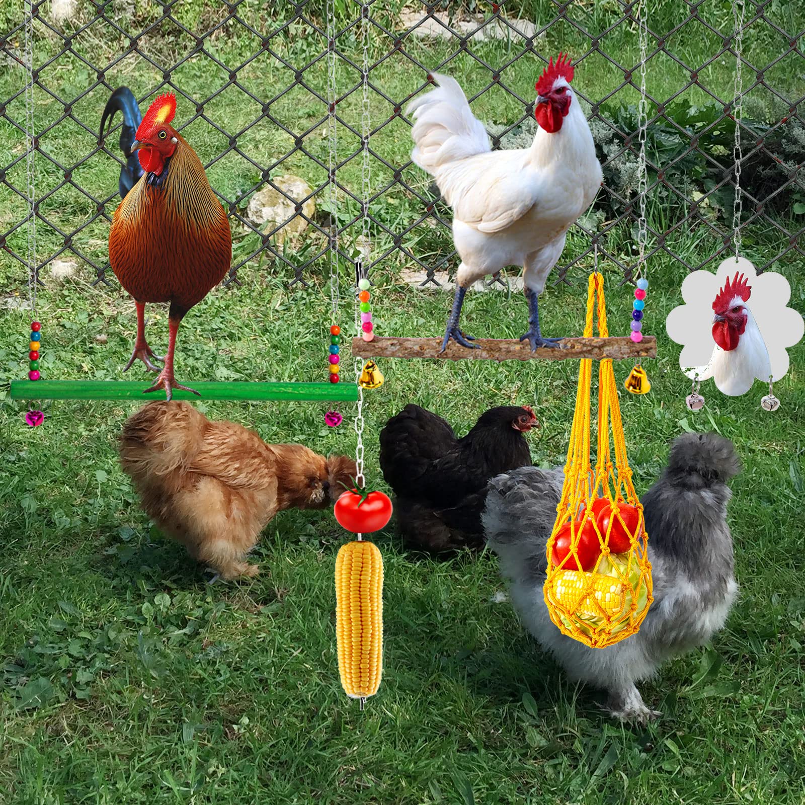Hipykat ladder next to pecking toys showing size and coop placement benefit