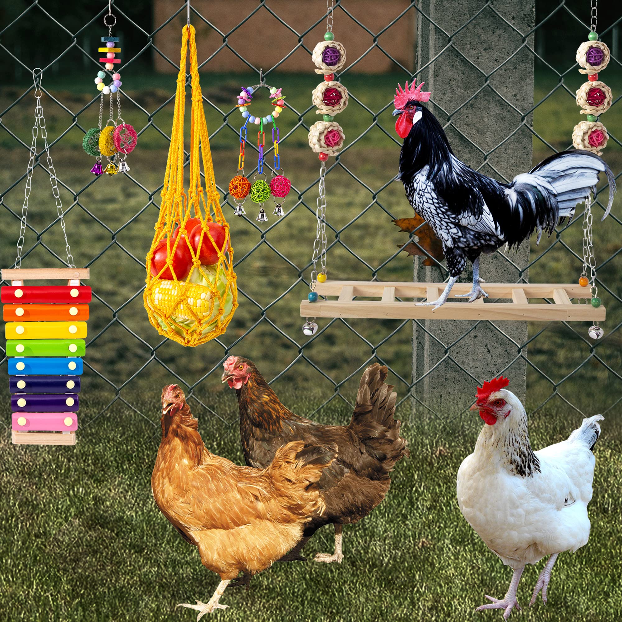Hipykat mirror with bell hung in coop reducing loneliness through interaction