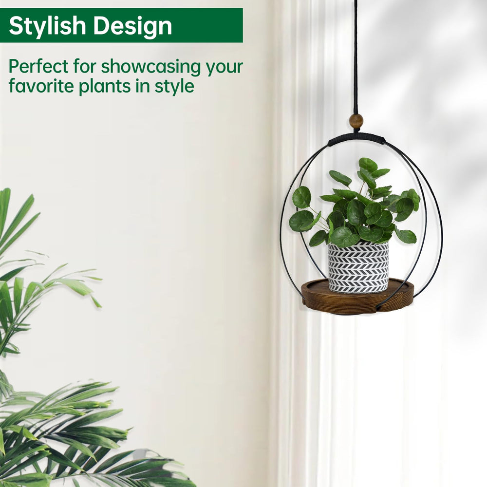 hismocal styled in boho living room showing hanging plants add warmth and vertical greenery benefit
