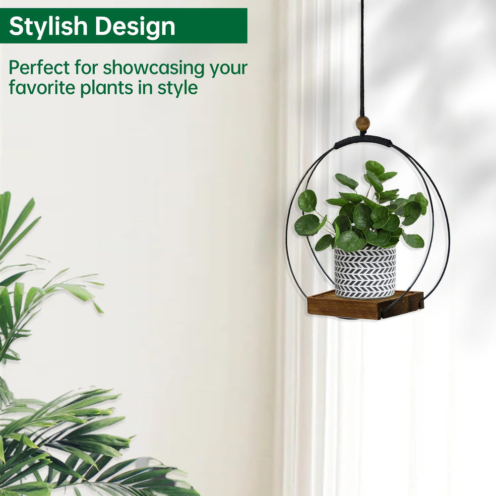 hismocal styled in living room illustrating decorative appeal and vertical greenery