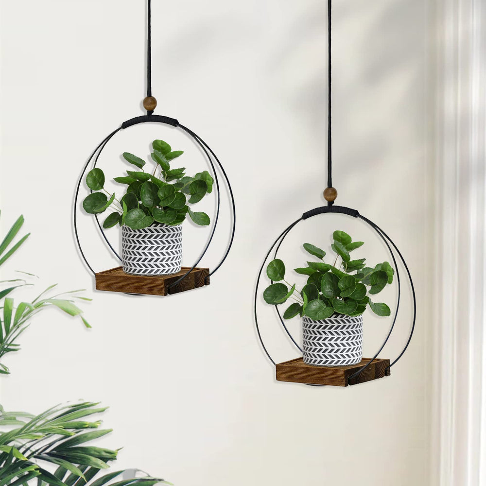 hismocal window display with succulents showing better light access and style