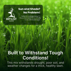Hit List Seed lawn in mixed sun and shade showing dense, drought-resistant turf