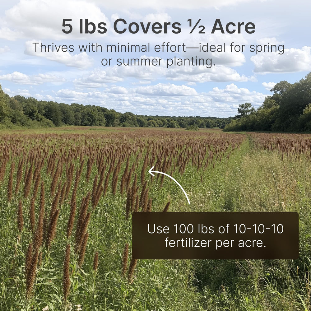 Hit List Seed mature sorghum field offering dense cover and late-season forage for deer
