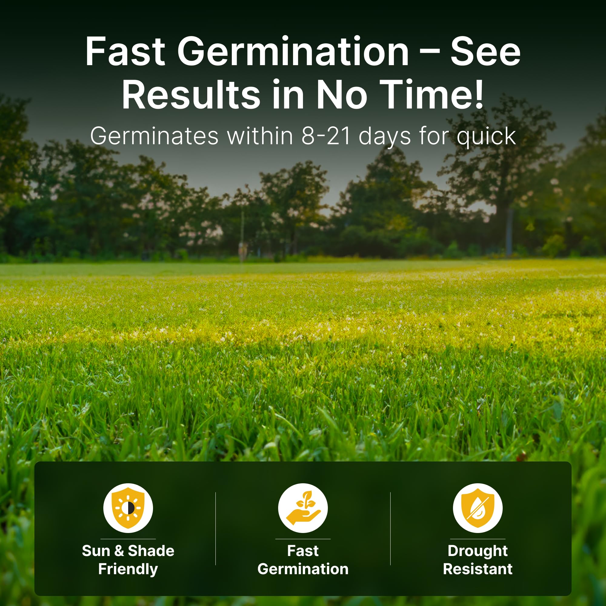 Hit List Seed sprouting seedlings emerging from soil demonstrating fast establishment