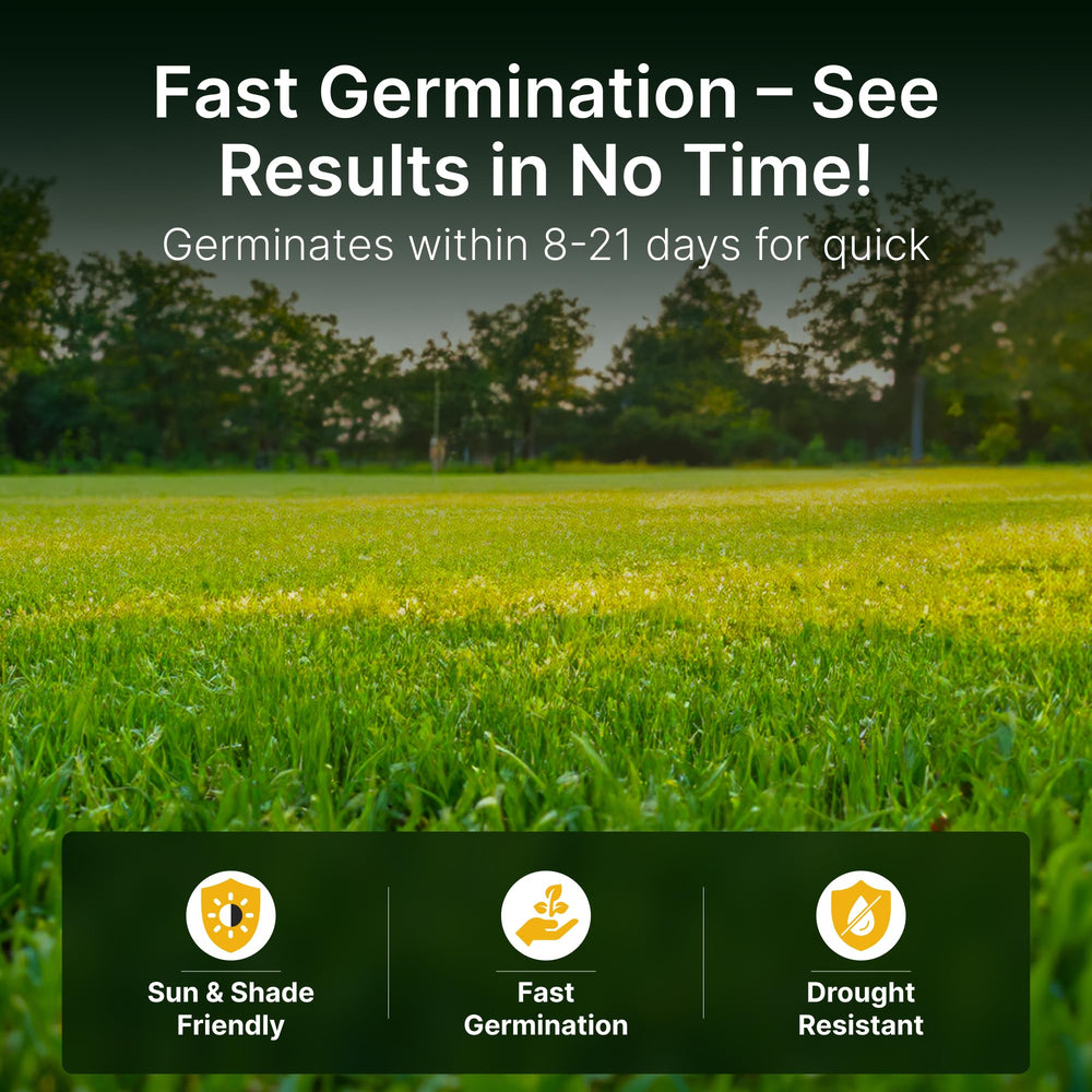 Hit List Seed sprouting seedlings emerging from soil demonstrating fast establishment