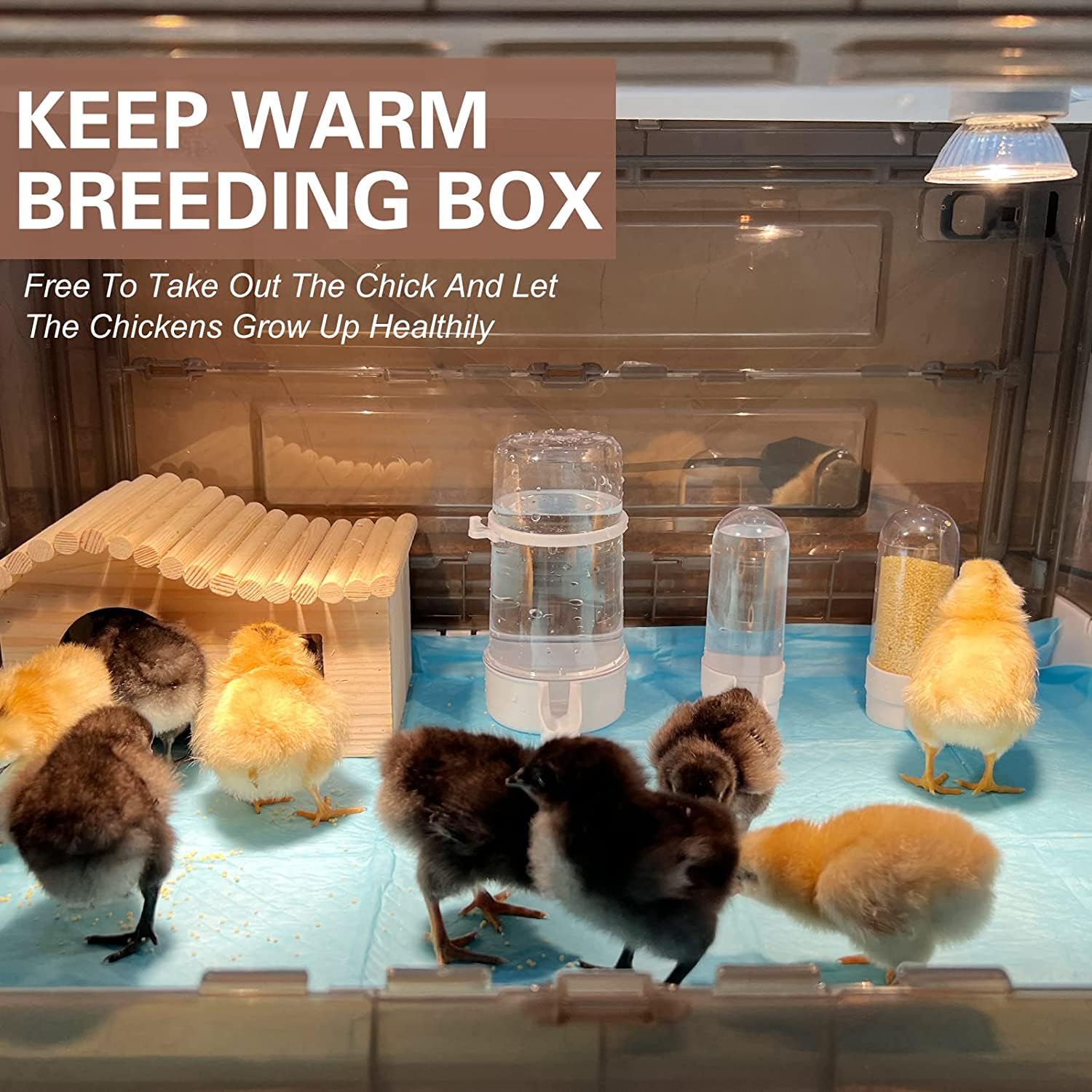 HKDQ brooder in use with chicks inside demonstrating cozy, monitored environment