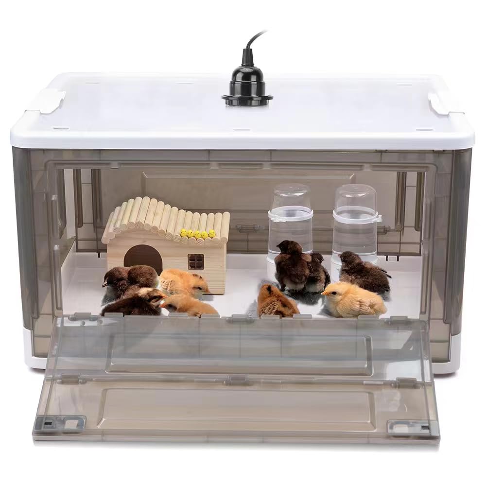HKDQ brooder front view showing insulated housing and access panels for safer brooding