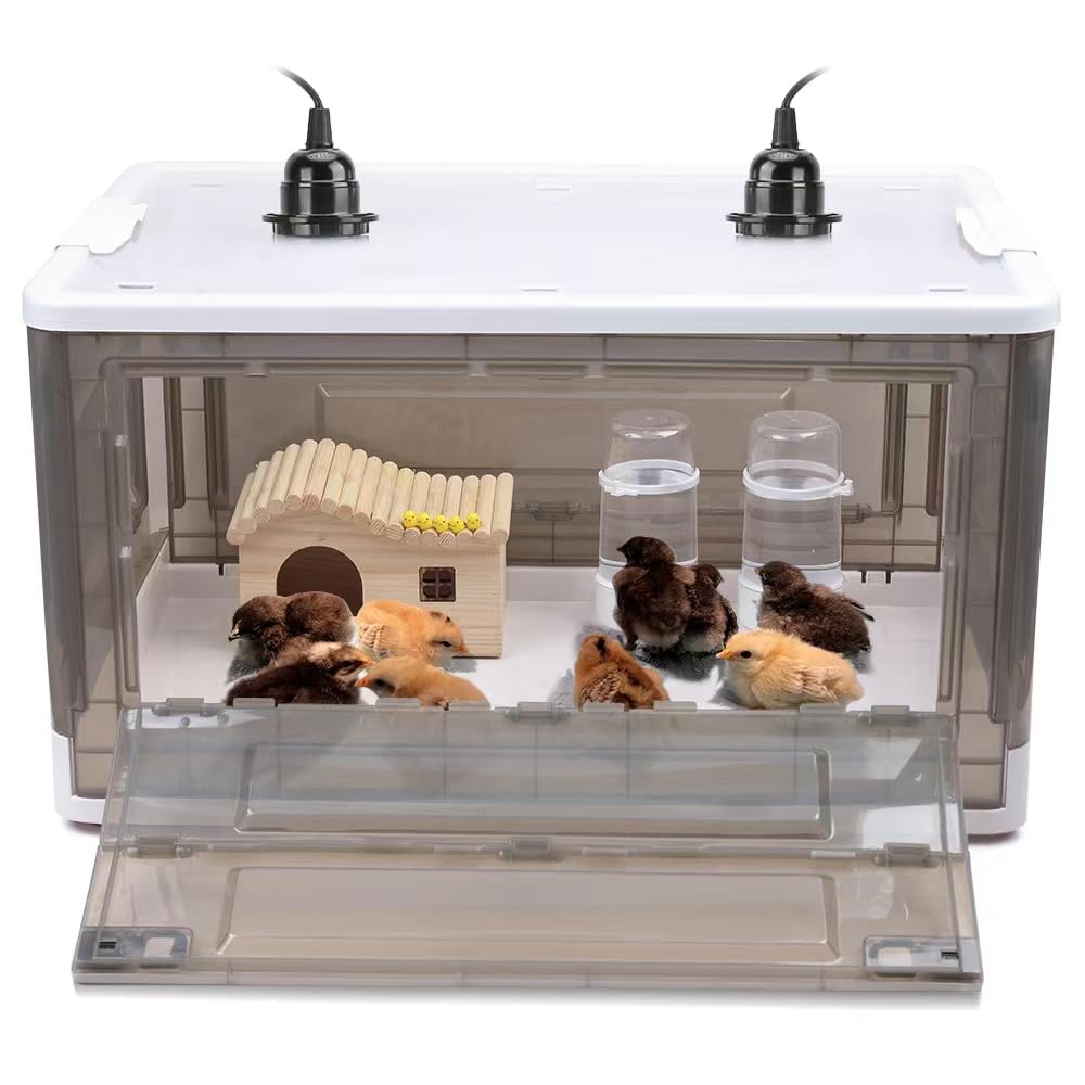 HKDQ brooder front view showing transparent panel and insulation benefit