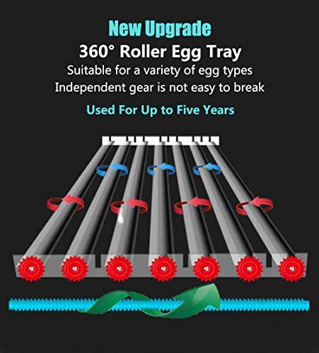 HKDQ egg candler in use illuminating embryo for safe observation benefit