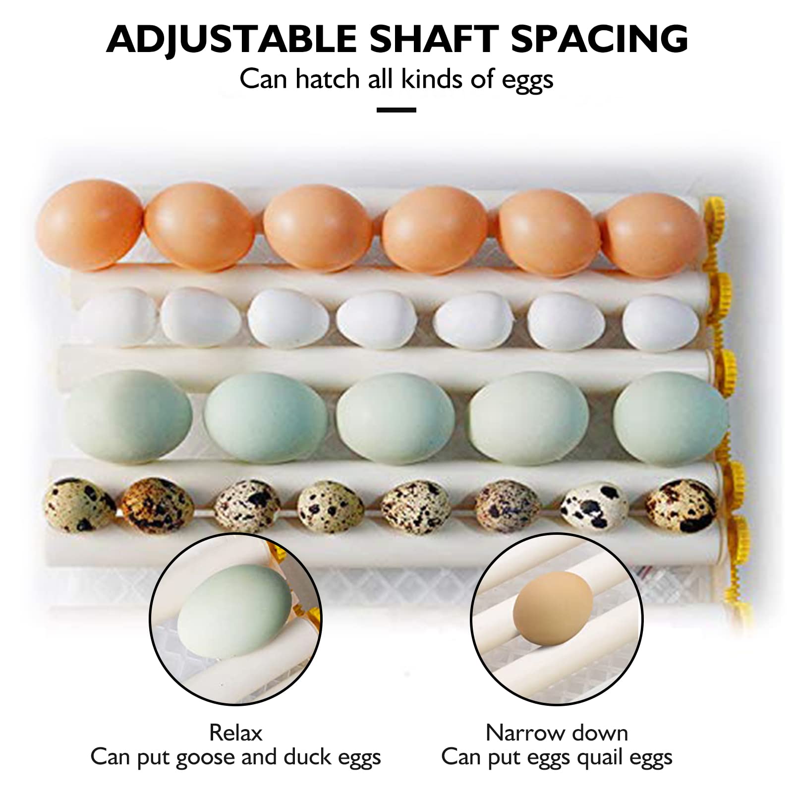 HKDQ egg tray closeup highlighting adjustable spacing and durability benefit