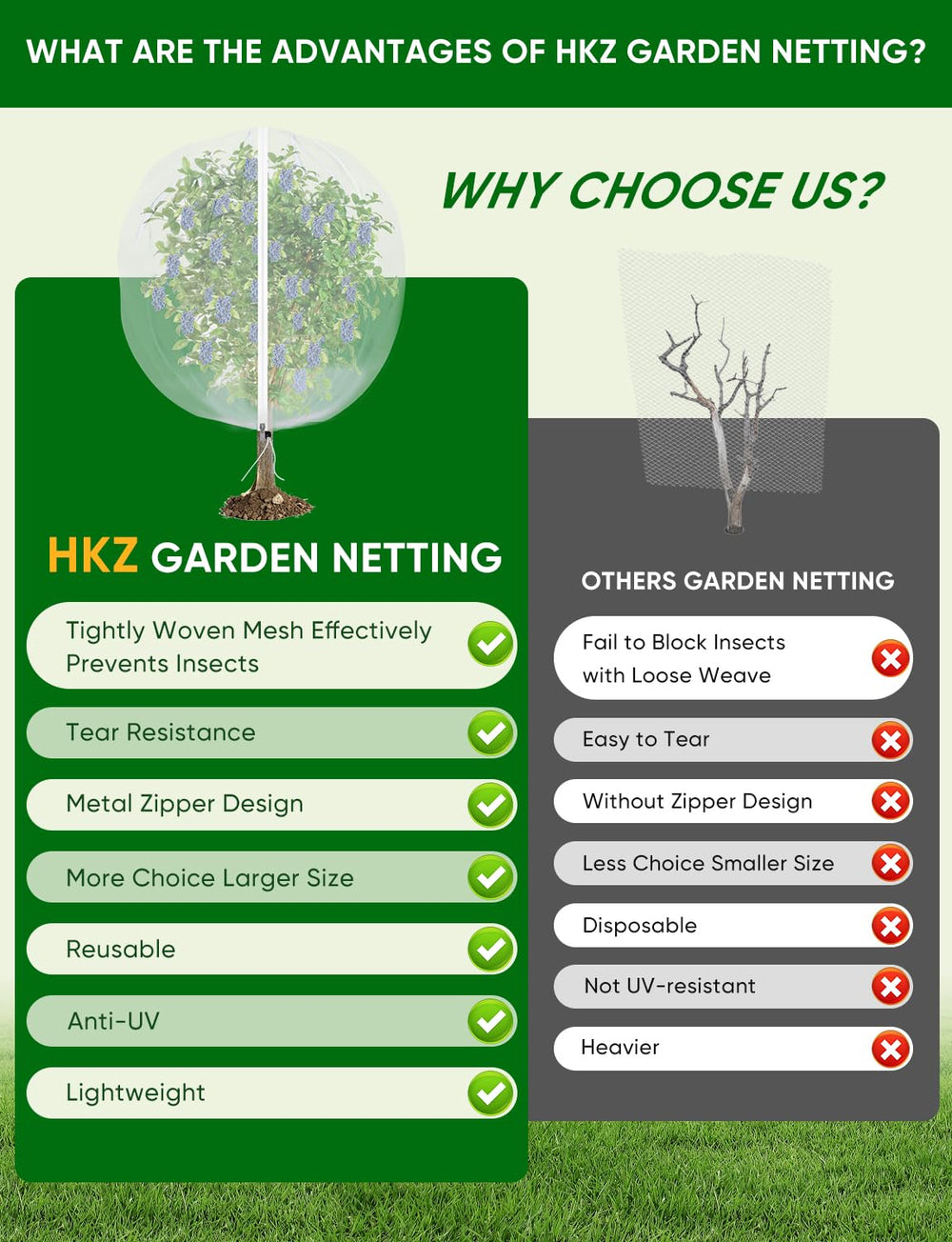HKZ netting covering blueberry bush showing bird and insect protection