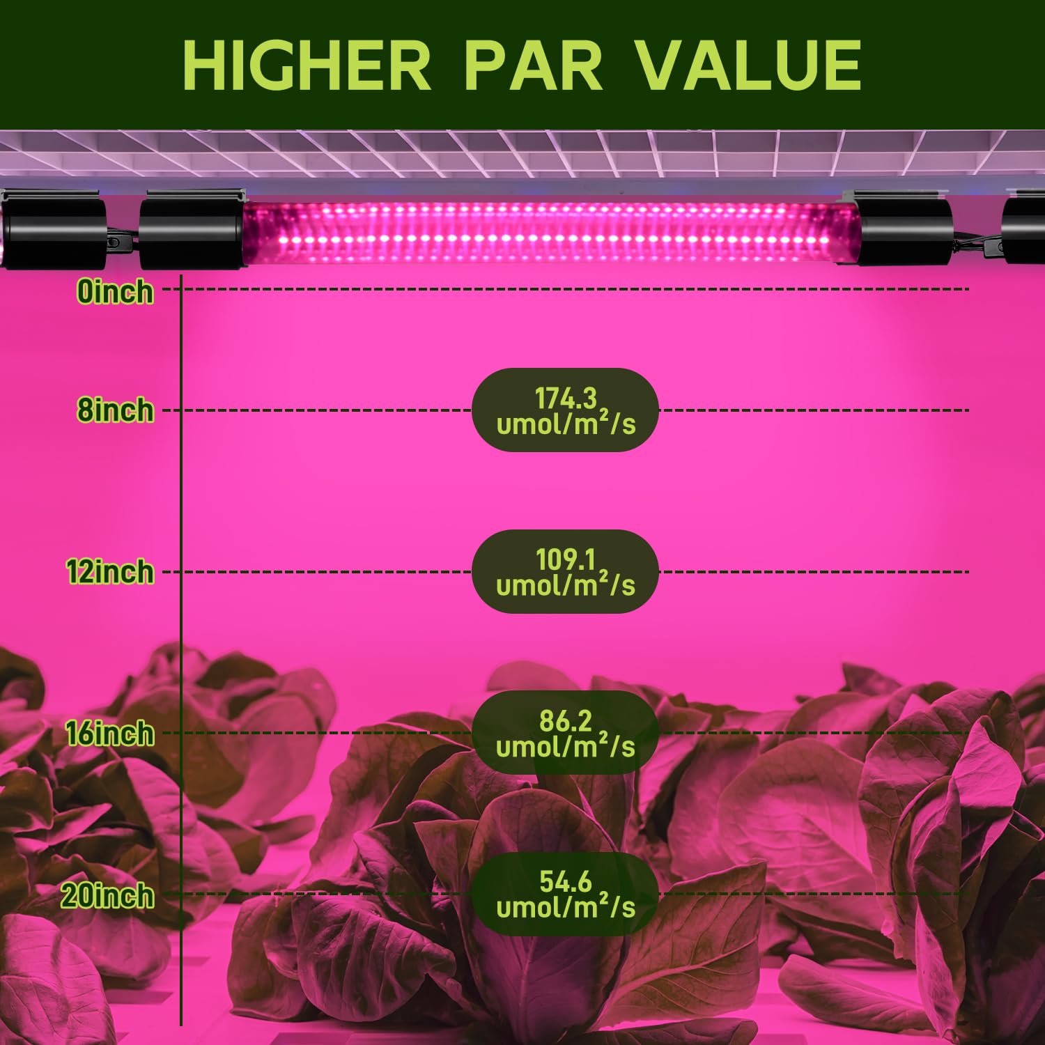 Hlite close-up of LED array highlighting full-spectrum output benefit