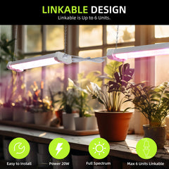 Hlite mounted inside a grow tent providing even canopy coverage and energy savings