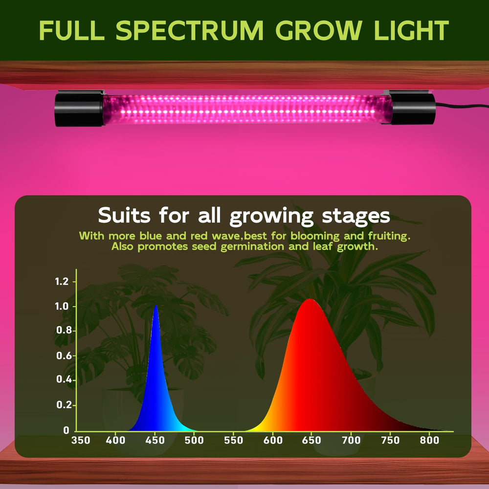 Hlite mounted on shelf lighting seedlings for healthier outward growth