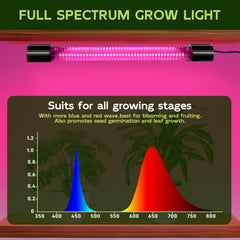 Hlite mounted on shelf lighting seedlings for healthier outward growth