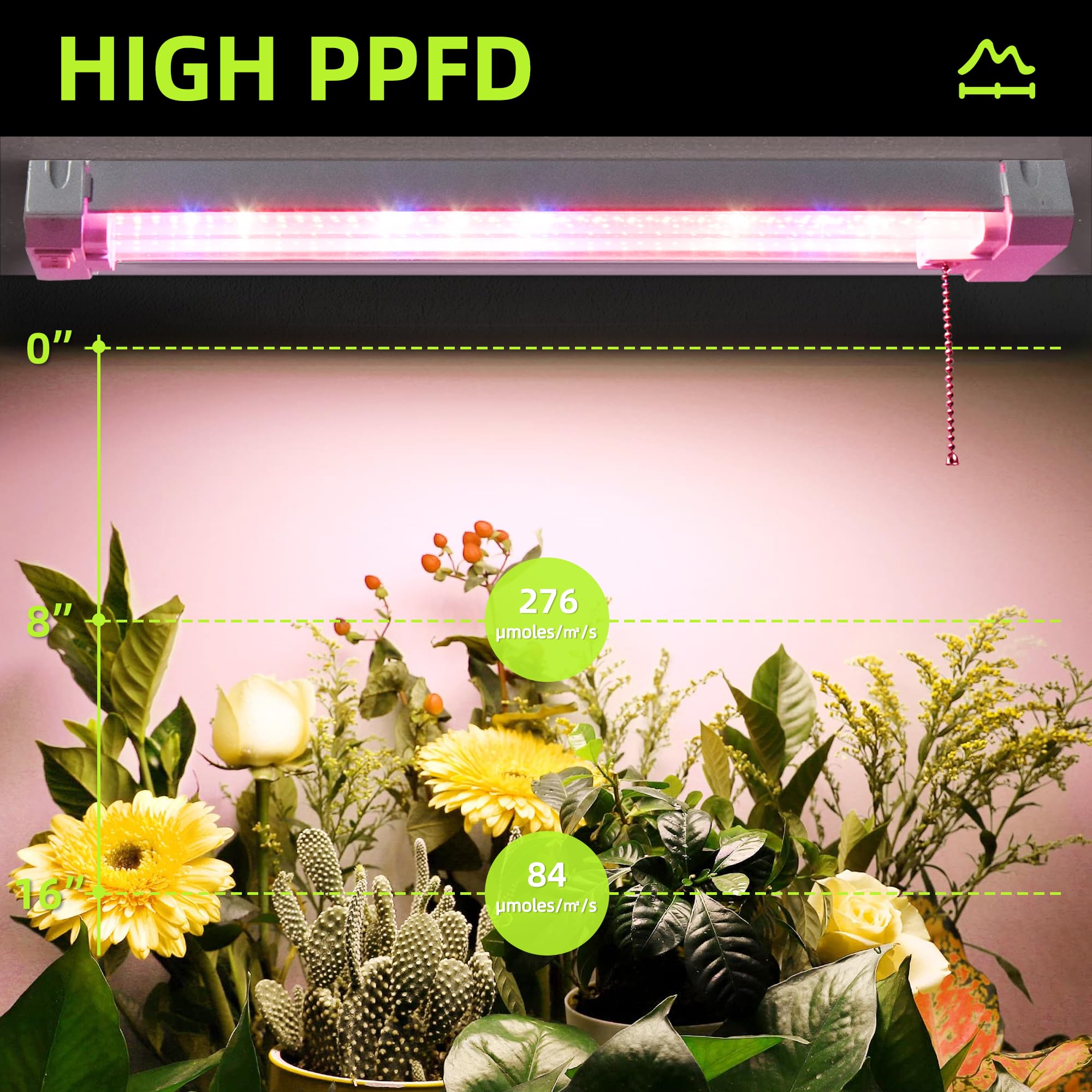 Hlite lamps over leafy greens demonstrating vigorous, uniform growth lighting