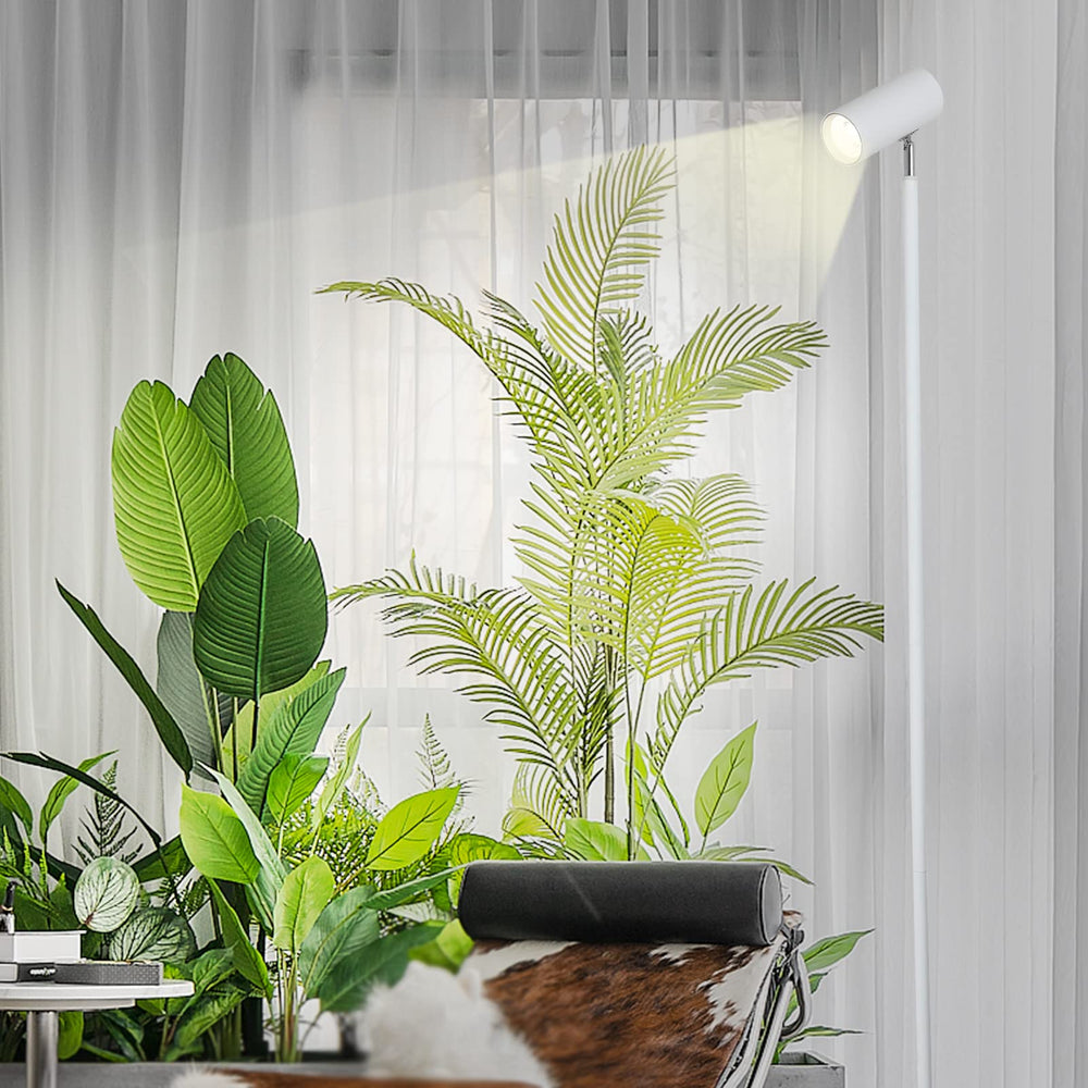 HMVPL lamp illuminating seedlings with timer set to automate light cycles benefit