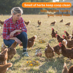 HoazHoald being sprinkled onto bedding to freshen coop and reduce odors
