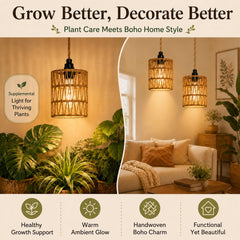 Hodilit detail of full-spectrum LED bulb in pendant socket for healthy light