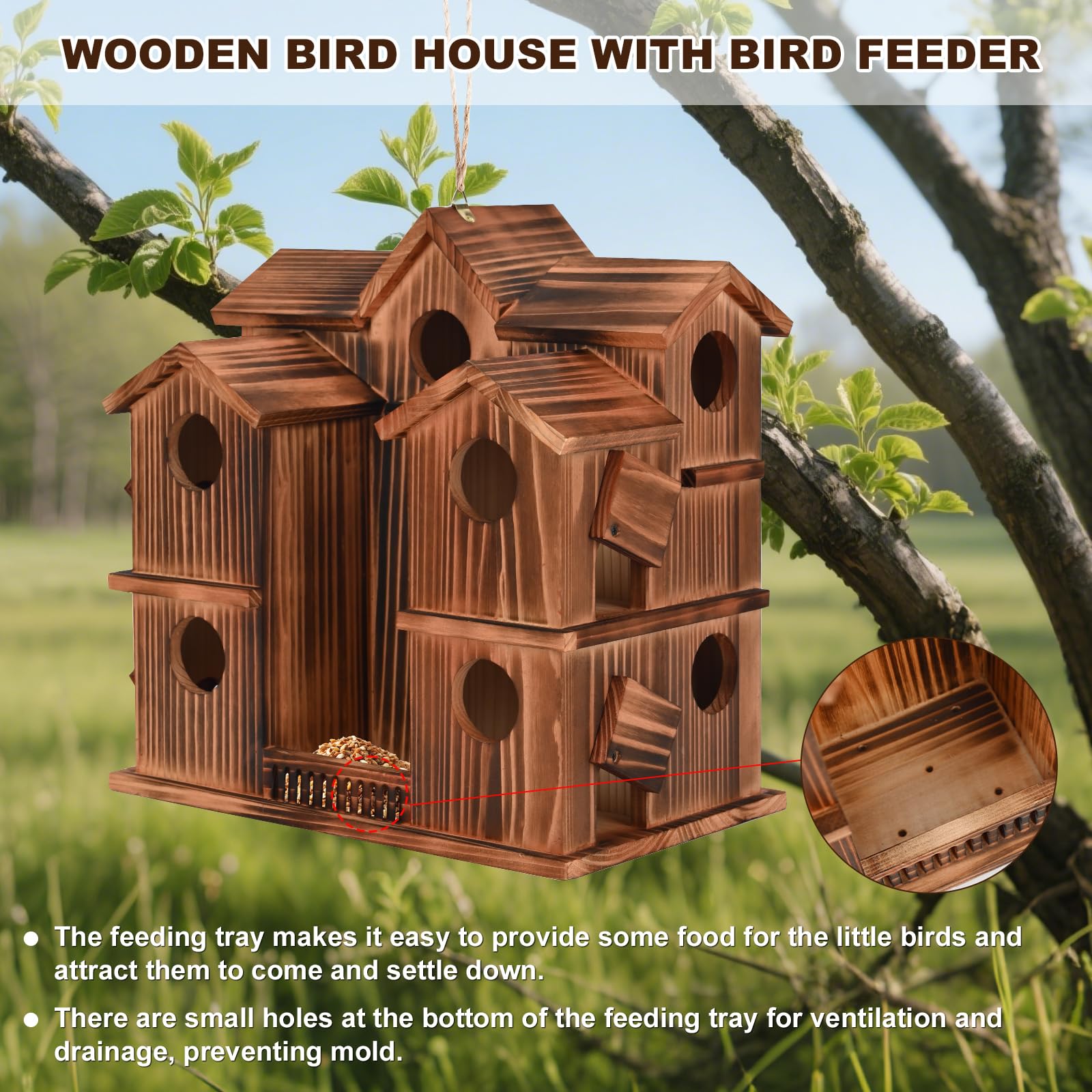 HOIGE mounted birdhouse in garden setting attracting songbirds and enhancing outdoor enjoyment