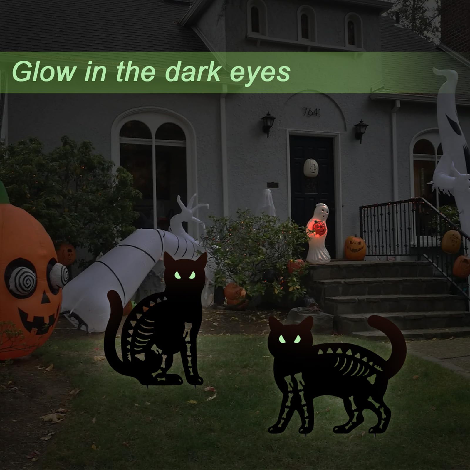 Hokfirm closeup on glow-in-the-dark cat eyes demonstrating nighttime visibility benefit