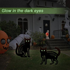 Hokfirm closeup on glow-in-the-dark cat eyes demonstrating nighttime visibility benefit