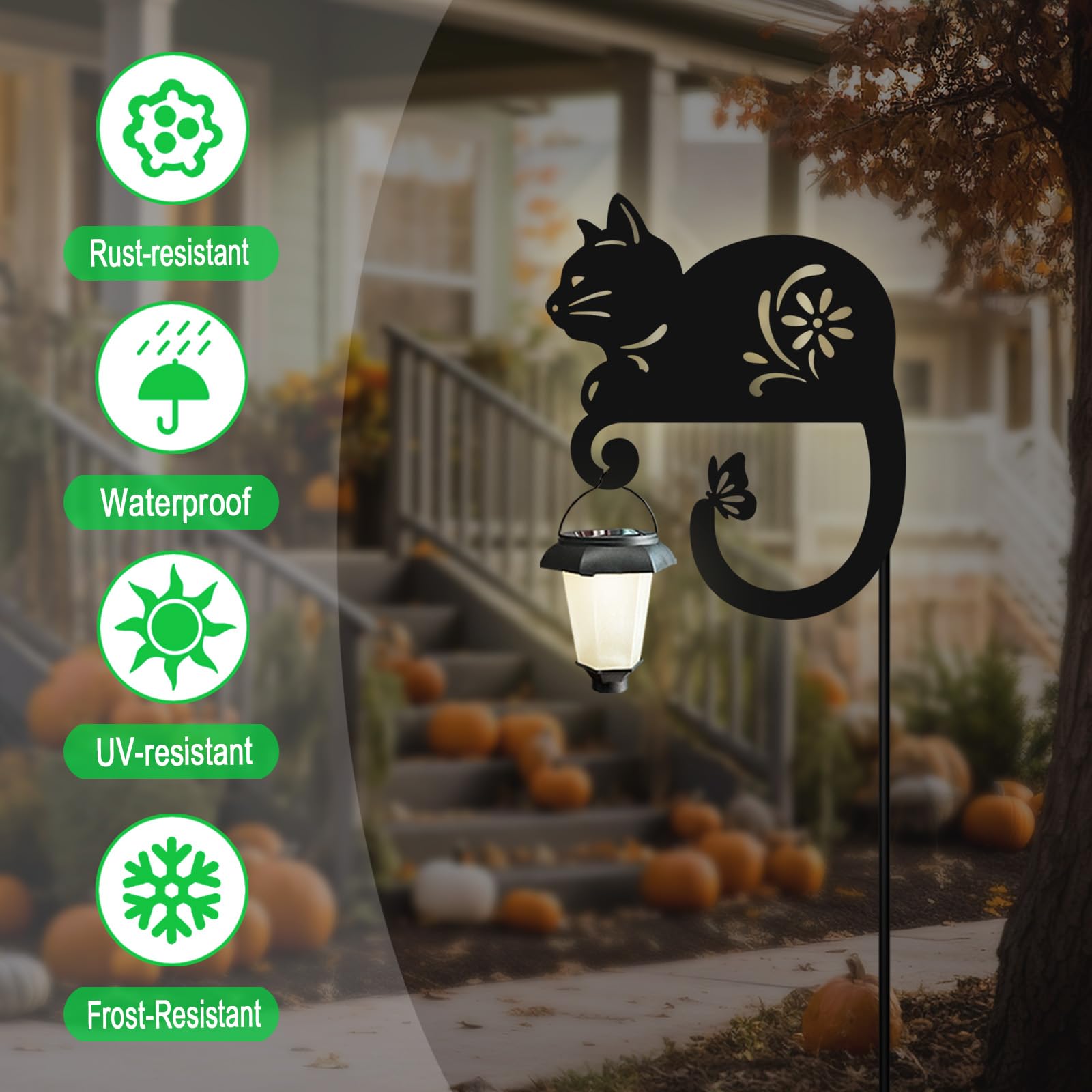 Hokfirm cat lantern lit at night creating warm pathway illumination