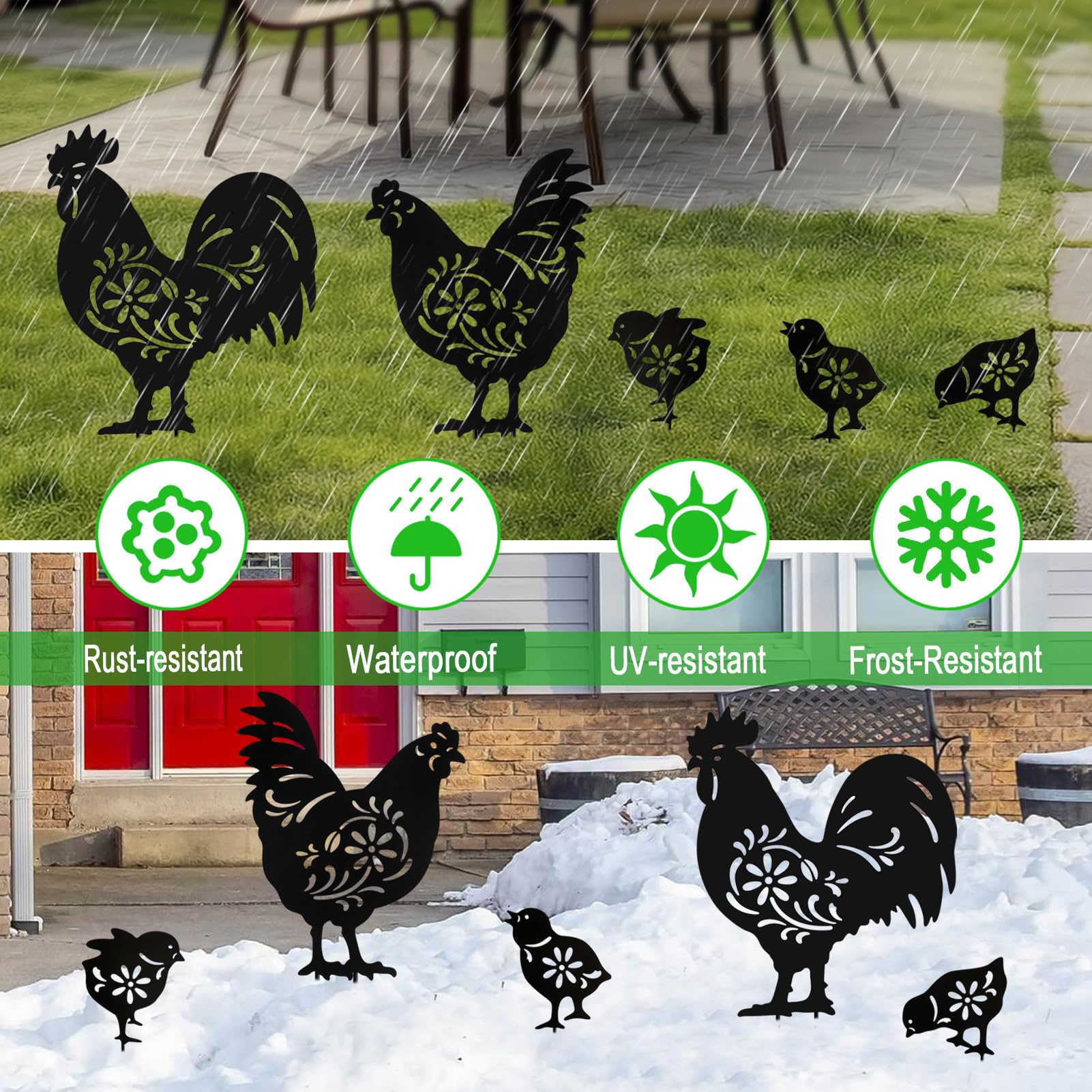 Hokfirm hen and chicks grouped in flowerbed adding whimsical garden interest