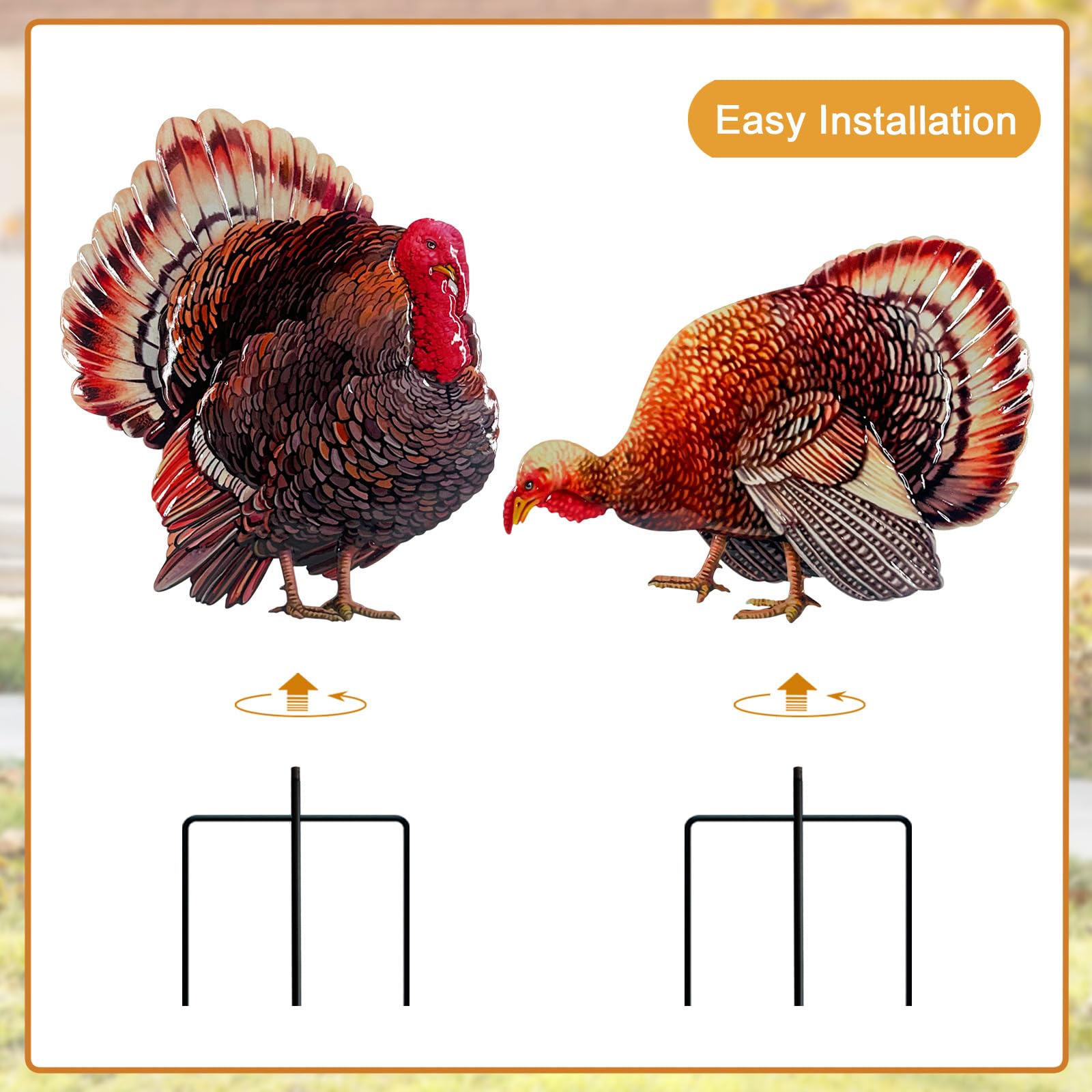 Hokfirm turkey next to ruler and pumpkin showing compact size for versatile placement