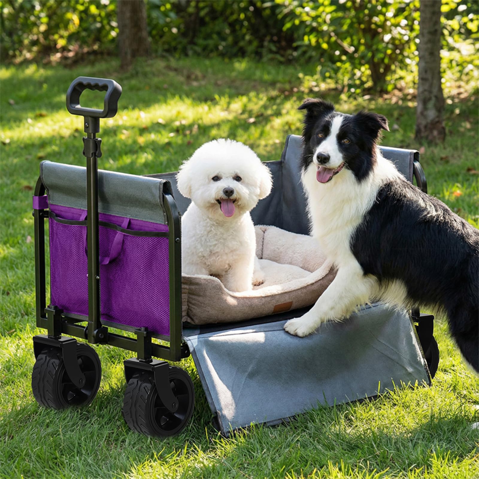 Holacamking on a beach hauling chairs and cooler for outdoor convenience