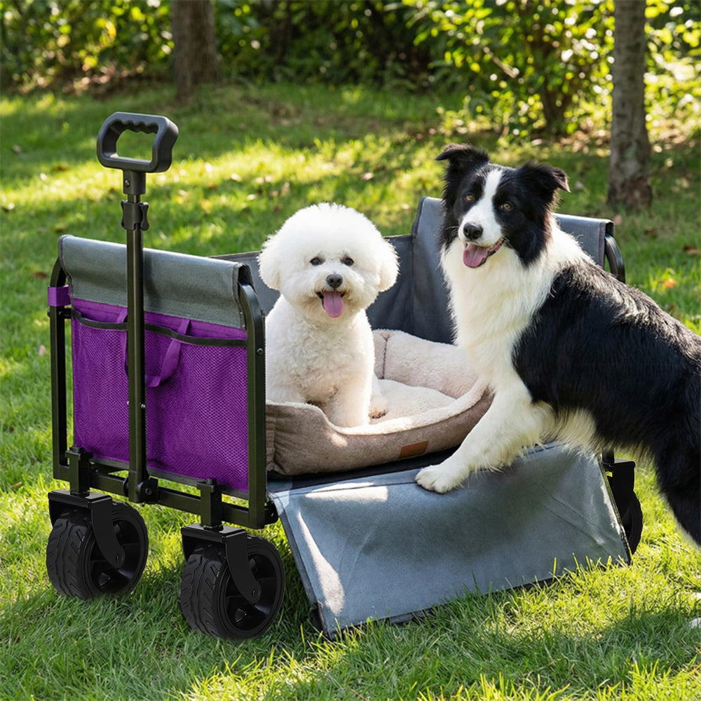 Holacamking on a beach hauling chairs and cooler for outdoor convenience