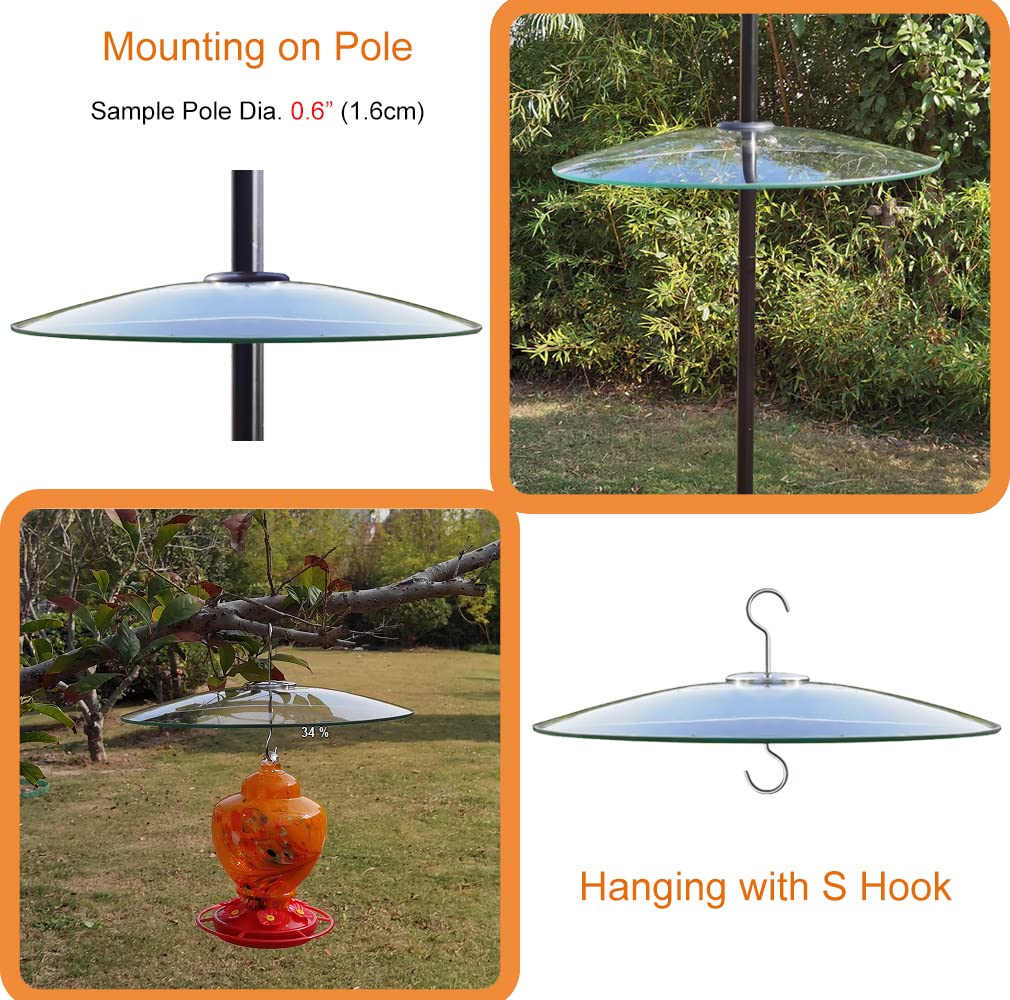 HOLAHOMA clear dome in garden setting illustrating unobstructed birdwatching view