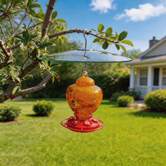 HOLAHOMA dome hanging with S-hook above a bird feeder showing easy hanging setup