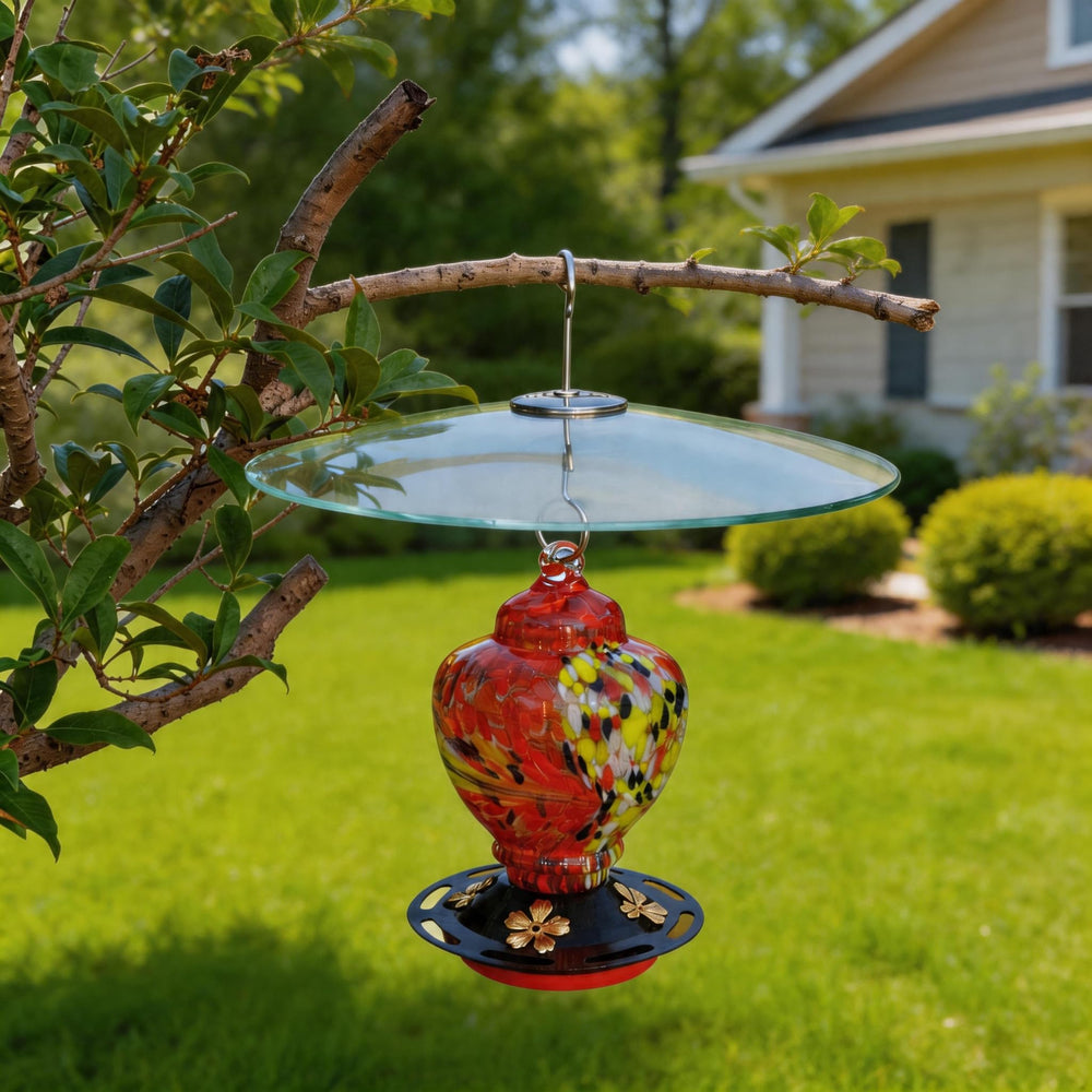 HOLAHOMA dome next to feeder showing 13-inch coverage for better weather protection