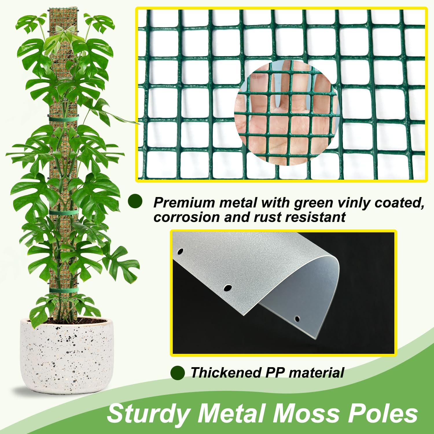 HOLANHING 24-inch moss pole in a small planter providing compact support for young plants