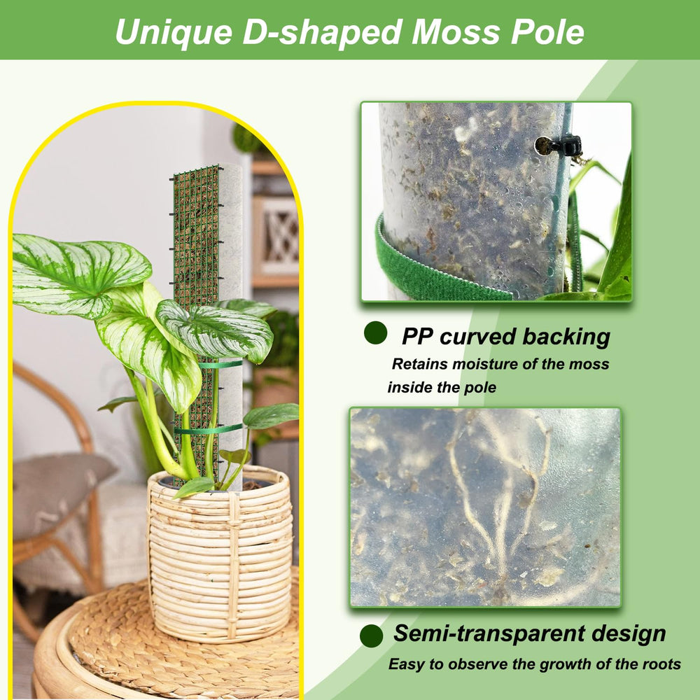 HOLANHING 40-inch moss pole supporting a medium Monstera and encouraging upward growth