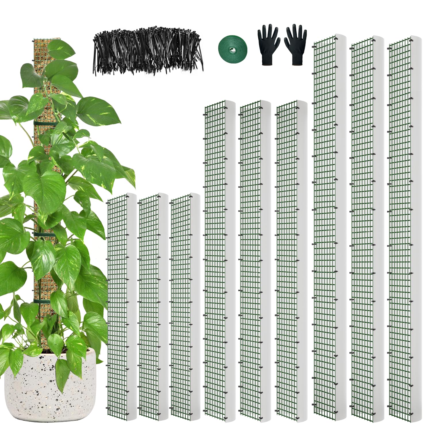 HOLANHING full nine-piece moss pole kit showing all pole sizes and accessories for immediate use