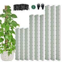 HOLANHING full nine-piece moss pole kit showing all pole sizes and accessories for immediate use