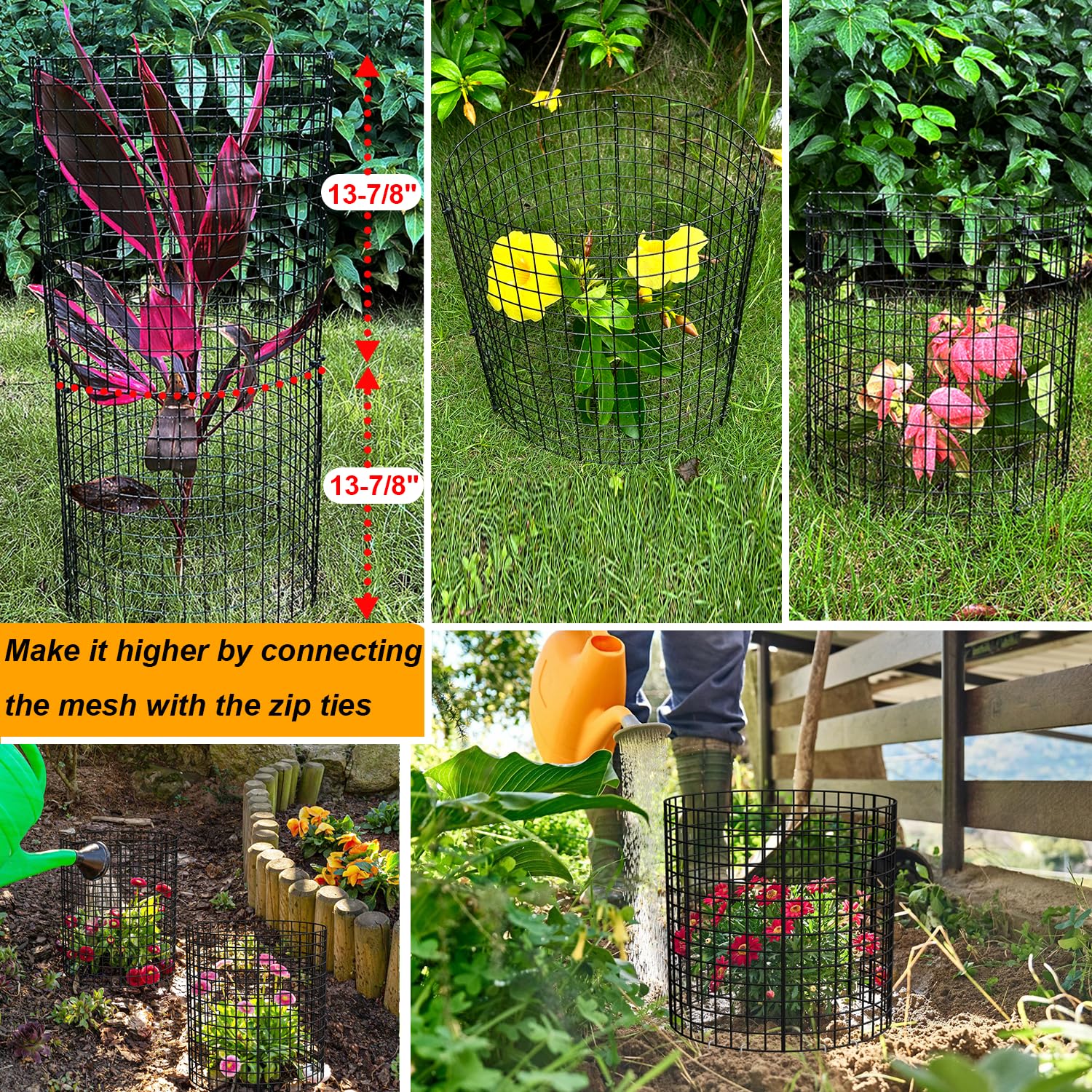 HOLANHING cage in garden protecting a seedling from small animals and mower damage
