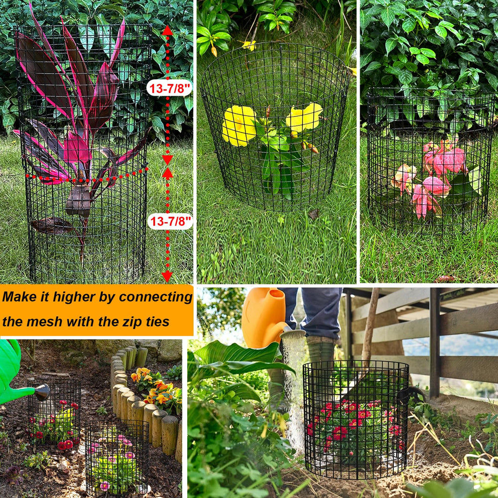 HOLANHING cage in garden protecting a seedling from small animals and mower damage