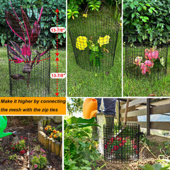 HOLANHING cage in garden protecting a seedling from small animals and mower damage
