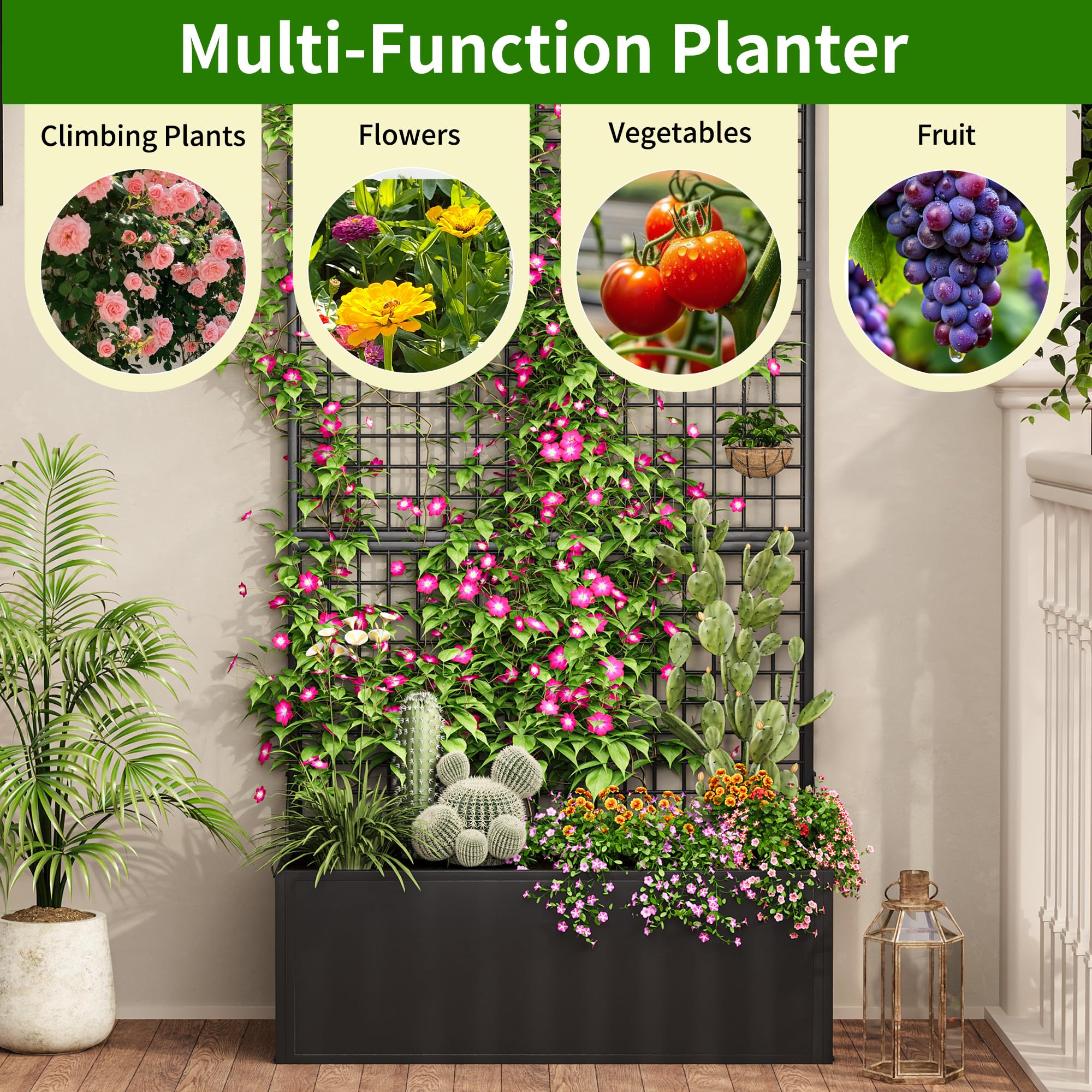 HOLCEPZN interior shot showing planting depth for vegetables and herbs benefit