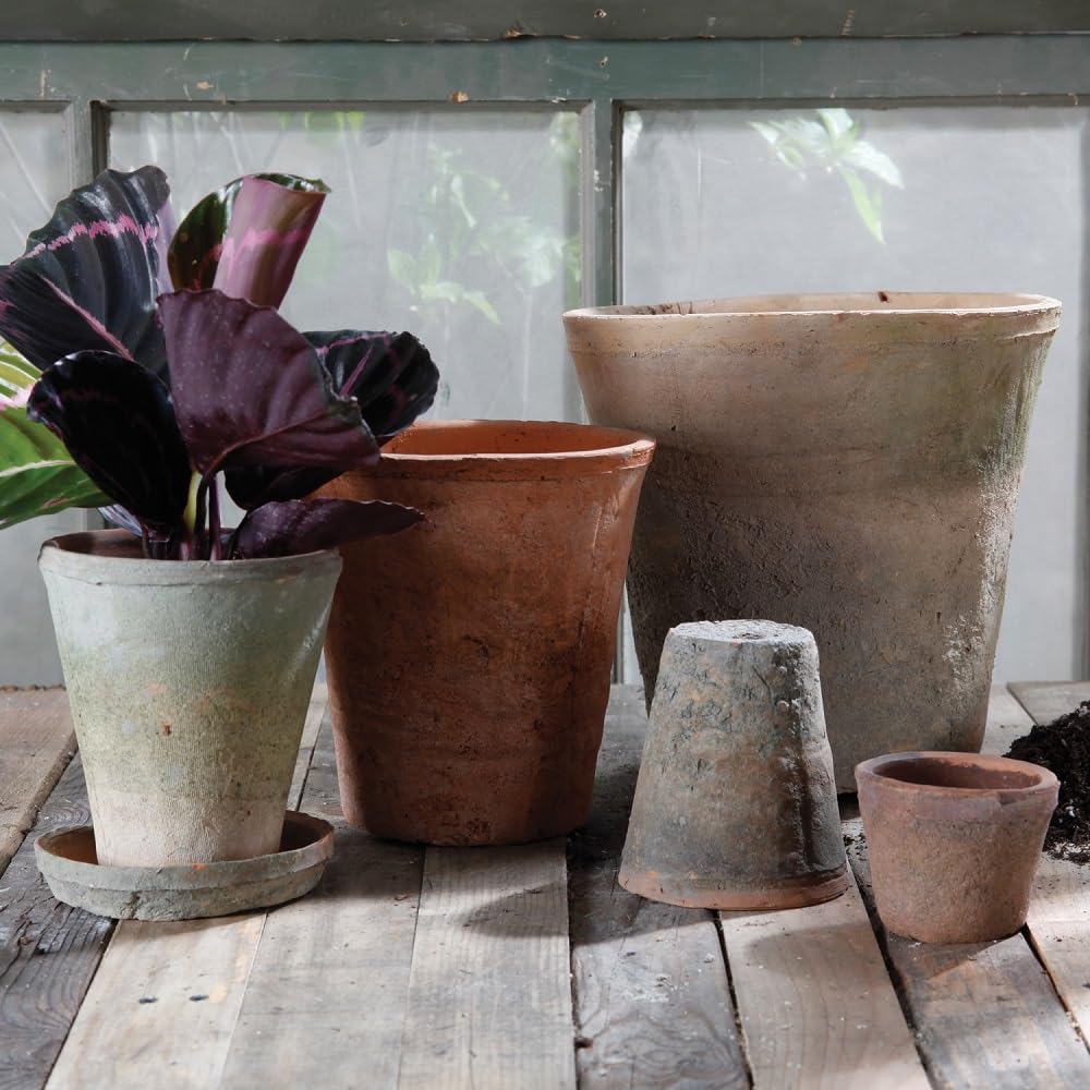 HomArt pot in use with flowering rose showcasing visual impact and plant support