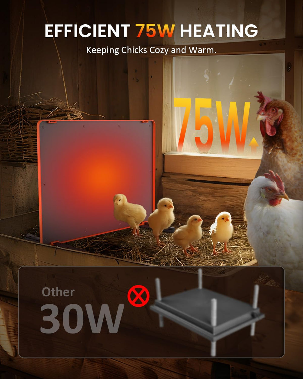 Homcolorful lifestyle shot of chicks under plate illustrating even warmth and calm behavior