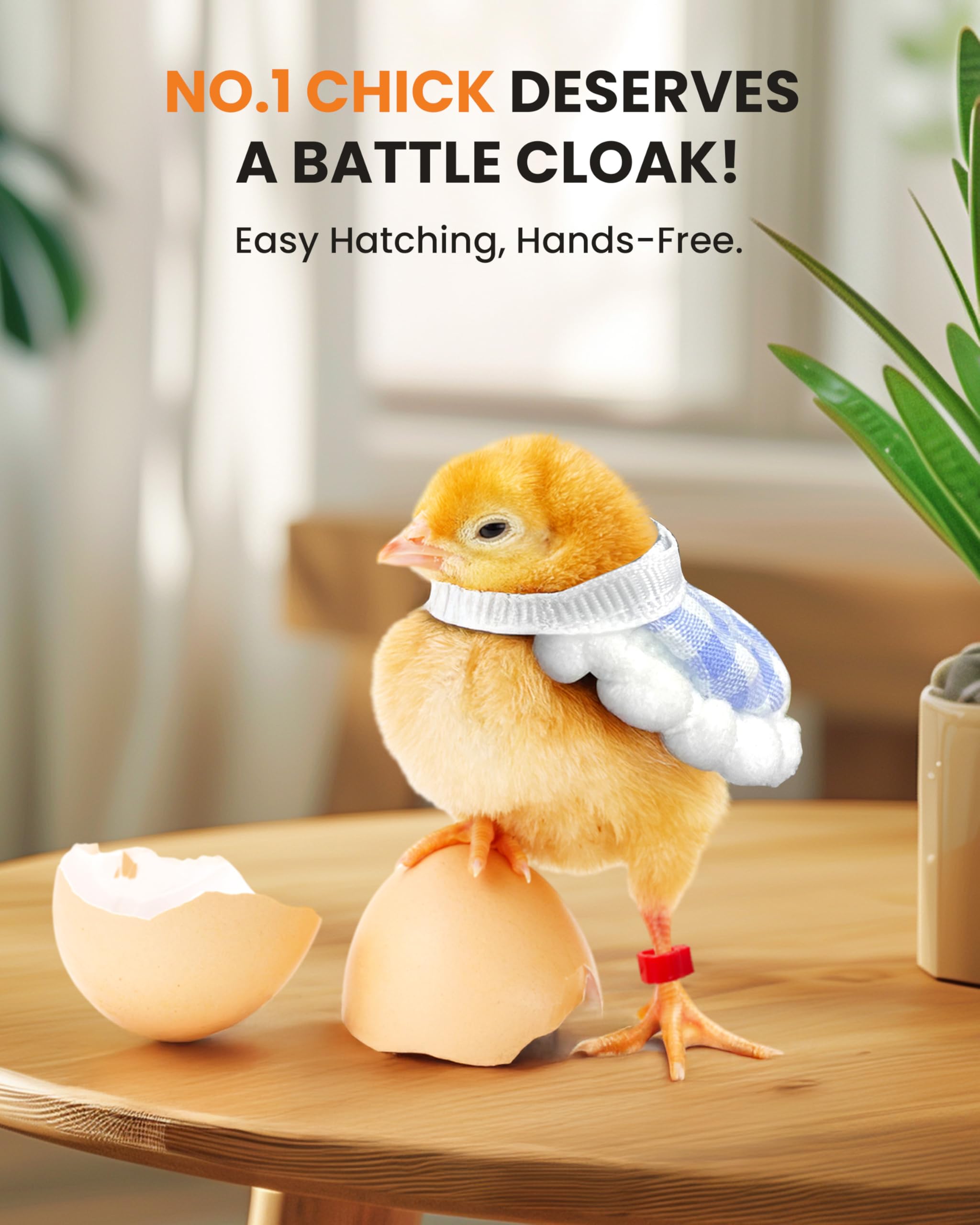 Homcolorful classroom hatching lifestyle scene showing educational and bonding benefits