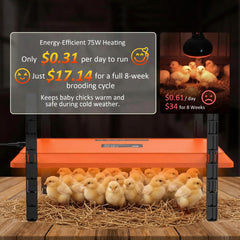 Homcolorful close-up of flocked bottom providing gentle, safe warmth for chicks